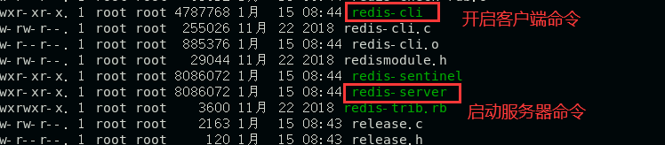 image-20230116005420898