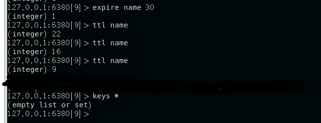 image-20230116155436376